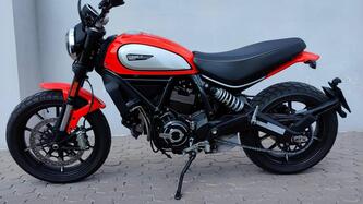 Ducati Scrambler 800 Icon (2017 - 20)