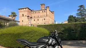 Triumph Trident 660 (2021 - 24) 