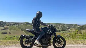Triumph Trident 660 (2021 - 24)  (3)