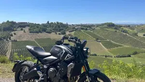 Triumph Trident 660 (2021 - 24)  (4)