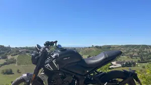 Triumph Trident 660 (2021 - 24)  (6)
