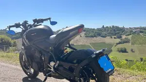 Triumph Trident 660 (2021 - 24)  (7)