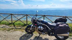 Moto Guzzi Griso 1100 (2005 - 11) 