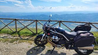 Moto Guzzi Griso 1100 (2005 - 11)