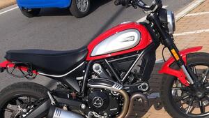 Ducati Scrambler 800 Icon (2023 - 25) 