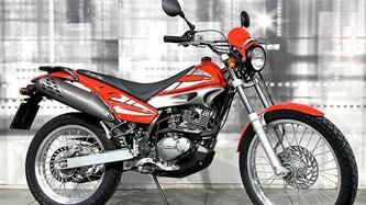 Betamotor Alp 240 usata