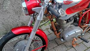 Ducati  