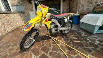 Suzuki RM 450 Z (2013)