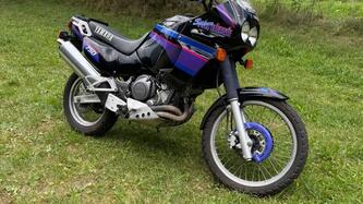 Yamaha XTZ 750 SuperTéneré (1989 - 98) usata