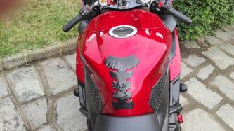 Yamaha YZF R1 (2004 - 05) usata