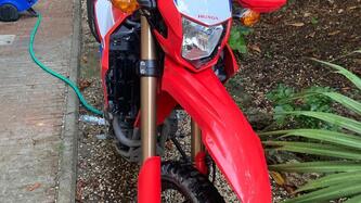 Honda CRF 300 L (2021 - 24) usata