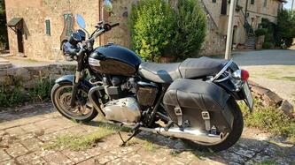 Triumph Bonneville T100 (2008 - 16) usata