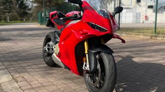 Ducati Panigale V4 (2025) usata