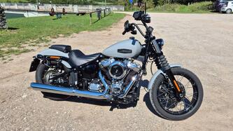 Harley-Davidson Street Bob 117 (2025) usata