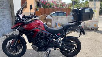 Triumph Tiger 900 GT Pro (2024 - 25) usata