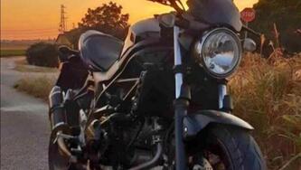 Suzuki SV 650 (2016 - 20) usata