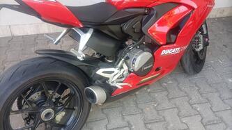 Ducati Panigale V2 955 (2020) usata