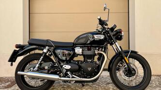 Triumph Bonneville T100 (2021 - 25) usata