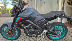Yamaha MT-125 (2021 - 24) 
