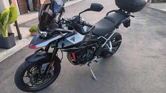 Triumph Tiger 900 GT Pro (2024 - 25) usata