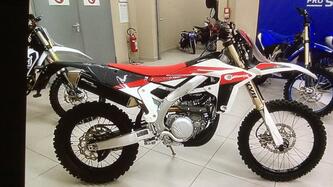 Fantic Motor XEF 450 (2024) usata