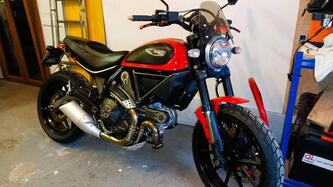 Ducati Scrambler 800 Icon (2015 - 16) usata
