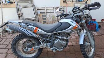Betamotor Alp 4.0 (2003 - 06) usata