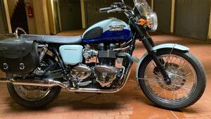 Triumph Bonneville T100 50th Anniversary (2009) 