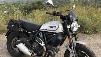 Ducati Scrambler 800 Icon (2017 - 20) usata