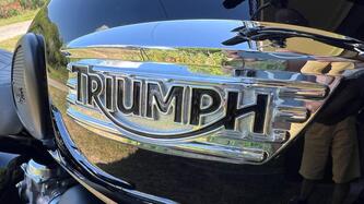 Triumph Scrambler (2006 - 17)