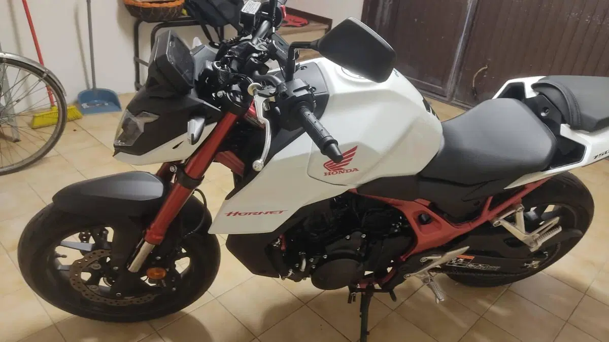 Honda CB 750 Hornet (2023 - 24)  (7)