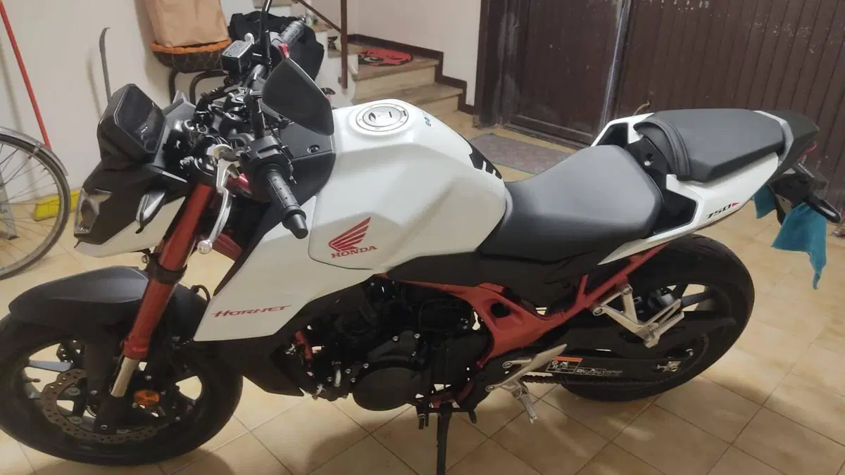 Honda CB 750 Hornet (2023 - 24)  (8)