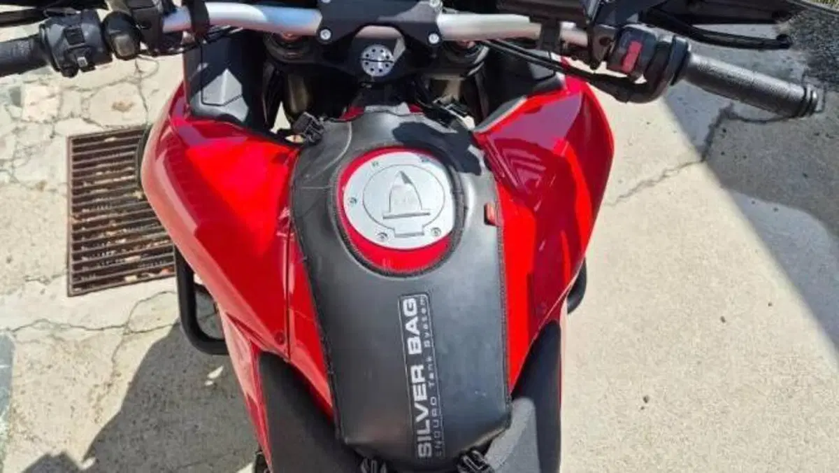 Ducati Multistrada 1200 ABS (2010 - 12)  (2)
