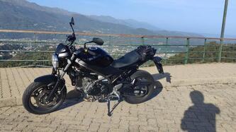 Suzuki SV650 (2021 - 24) usata