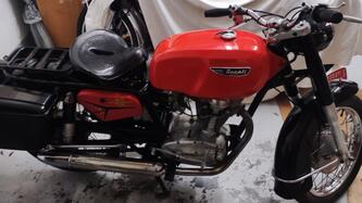 Ducati 