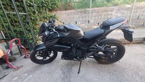 Kawasaki Z 300 ABS (2015 - 16) 