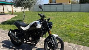 Benelli Leoncino 125 (2022 - 25) 