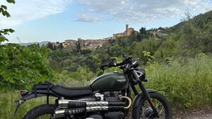 Triumph Scrambler 900 (2023 - 25) 