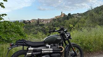 Triumph Scrambler 900 (2023 - 25)