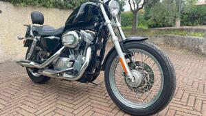 Harley-Davidson 883 Custom (2008 - 12) - XL 883C 