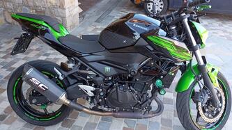 Kawasaki Z 400 (2019 - 20) usata