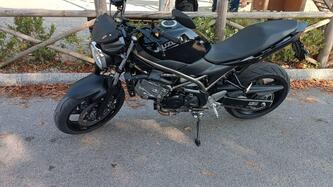Suzuki SV650 (2021 - 24) usata