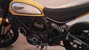 Ducati Scrambler 800 Icon (2017 - 20) 