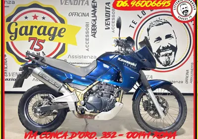 Kawasaki KLE 500 (2005 - 06) - Annuncio 9811169