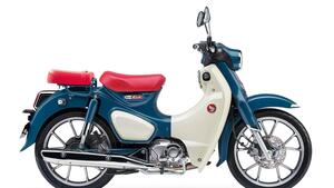 Honda Super Cub C125 (2022 - 24) 