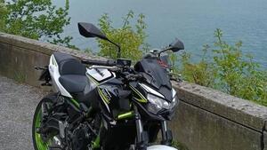 Kawasaki Z 650 (2021 - 24) 