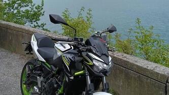 Kawasaki Z 650 (2021 - 24) usata