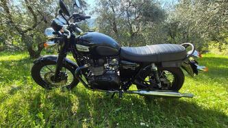 Triumph Bonneville T100 Black (2017 - 20)