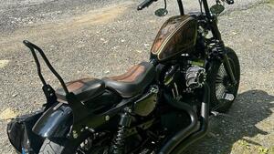 Harley-Davidson 1200 Forty-Eight (2010 - 15) 