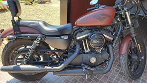 Harley-Davidson 883 Iron (2017 - 20) - XL 883N